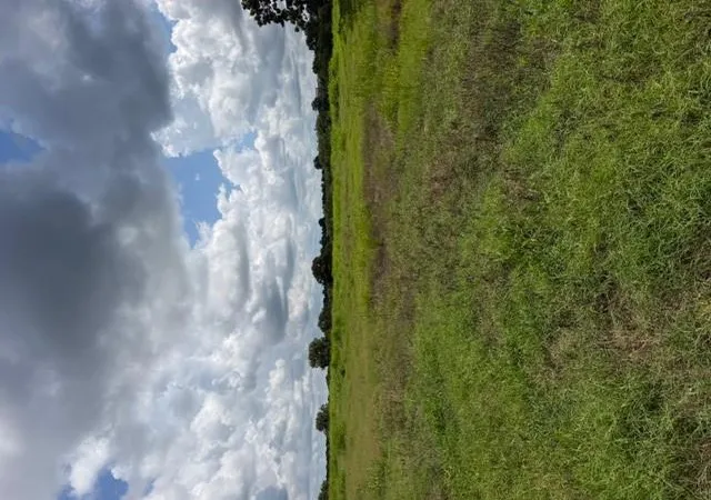 3rd image of 20211 Pleasant Hill Rd, Asher, OK 74826 | MLS# 1239383
