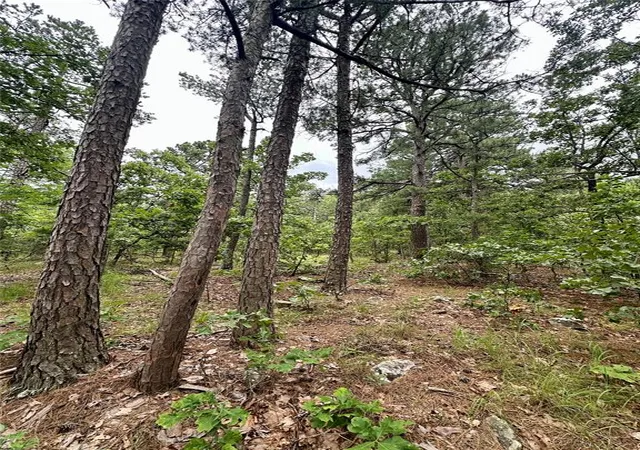 Photo 2 of Land for sale at (Undisclosed), Wilburton, OK 74578 | MLS# 1239447 | Listing updated on 2026-07-16