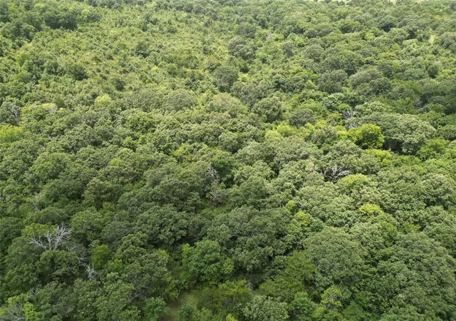 Photo 4 of Land for sale at D 1269 Rd, Wetumka, OK 74883 | MLS# 1239653 | Listing updated on 2026-07-19