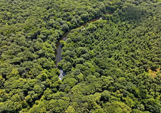 3rd image of 3274 Pine Lake Rd, Broken Bow, OK 74728 | MLS# 1240803