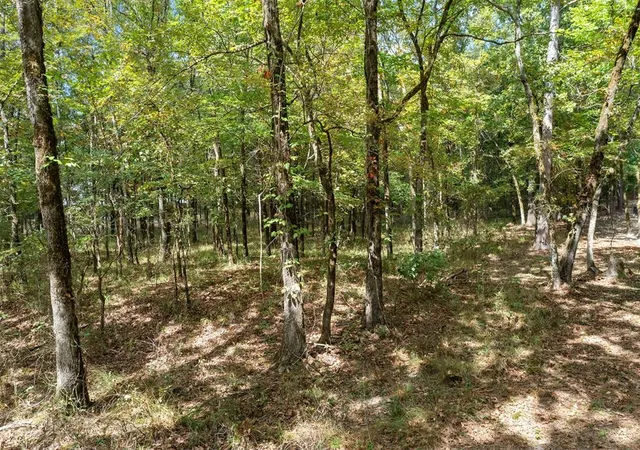 4th image of 117 Jetty Lane Lane, Broken Bow, OK 74728 | MLS# 1240817