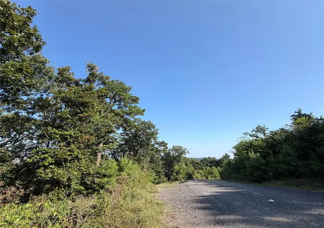 3rd image of 184 Vista Del Lago Trl #38, Broken Bow, OK 74728 | MLS# 1240829