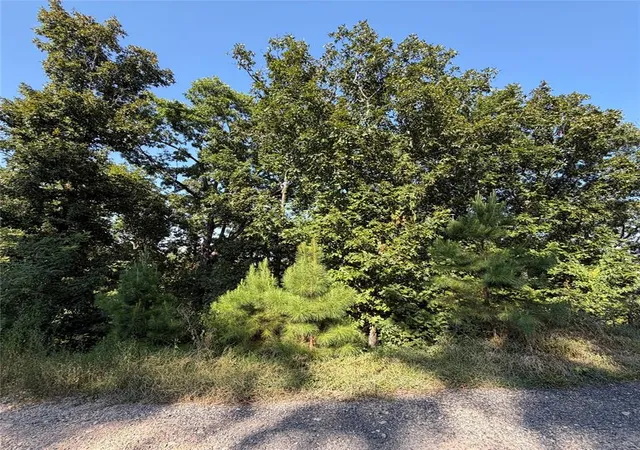 5th image of 184 Vista Del Lago Trl #38, Broken Bow, OK 74728 | MLS# 1240829