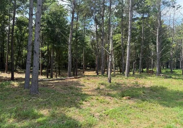 1st image of 168 Cinnamon Teal Trl #Lot 79, Broken Bow, OK 74728 | MLS# 1240968