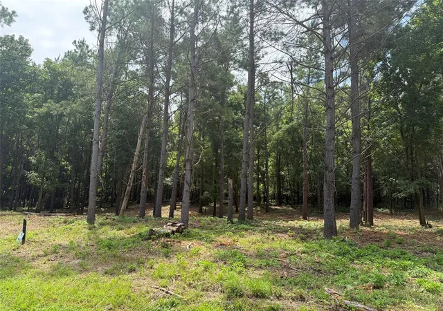 2nd image of 168 Cinnamon Teal Trl #Lot 79, Broken Bow, OK 74728 | MLS# 1240968