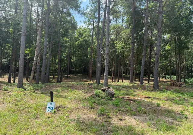 3rd image of 168 Cinnamon Teal Trl #Lot 79, Broken Bow, OK 74728 | MLS# 1240968