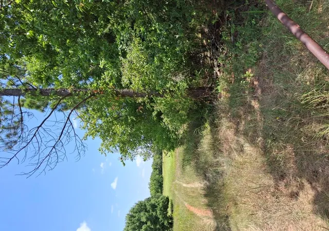 2nd image of County Road 1460 Road, Ada, OK 74820 | MLS# 1241282