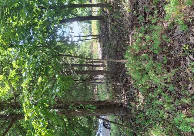 4th image of County Road 1460 Road, Ada, OK 74820 | MLS# 1241282