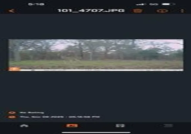 Photo 3 of Land for sale at 12100 North 362 Rd, Wewoka, OK 74884 | MLS# 1241383 | Listing updated on 2026-08-18
