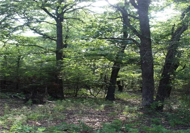 Photo 2 of Land for sale at S Bedrock Cir St, Wellston, OK 74881 | MLS# 1241602 | Listing updated on 2026-08-01