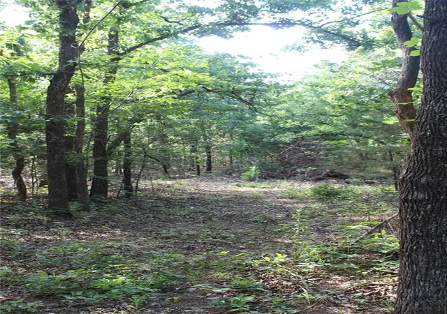 Photo 3 of Land for sale at S Bedrock Cir St, Wellston, OK 74881 | MLS# 1241602 | Listing updated on 2026-08-01