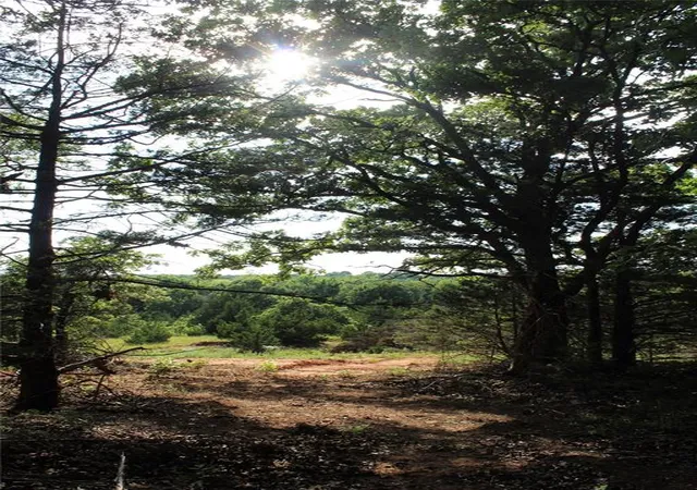 Photo 3 of Land for sale at S Bedrock Cir St, Wellston, OK 74881 | MLS# 1241602 | Listing updated on 2026-08-01