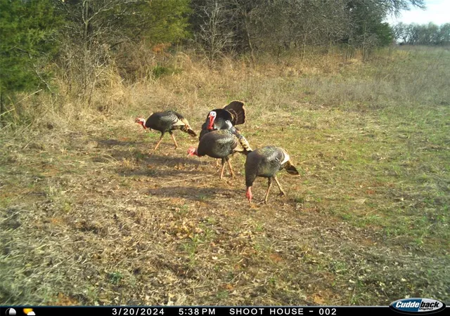 5th image of 8650 Dobbs Rd, Luther, OK 73054 | MLS# 1241960
