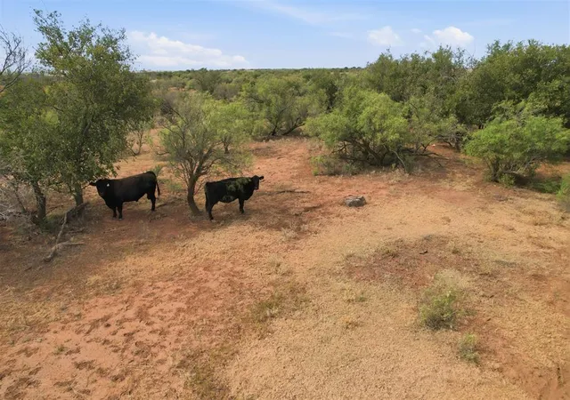 Photo 3 of Land for sale at 1850 N County Rd, Eldorado, OK 73537 | MLS# 1242114 | Listing updated on 2026-07-31