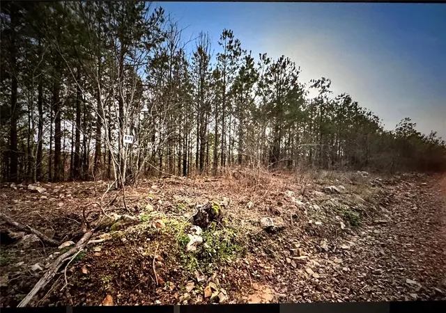 Photo 4 of Land for sale at 192 Evergreen Vista Loop, Broken Bow, OK 74728 | MLS# 1242292 | Listing updated on 2026-08-02