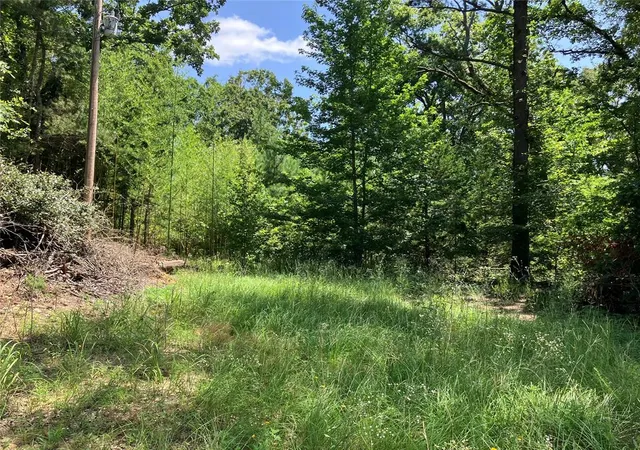 Photo 2 of Land for sale at W State Hwy 3, Broken Bow, OK 74728 | MLS# 1242991 | Listing updated on 2026-08-06