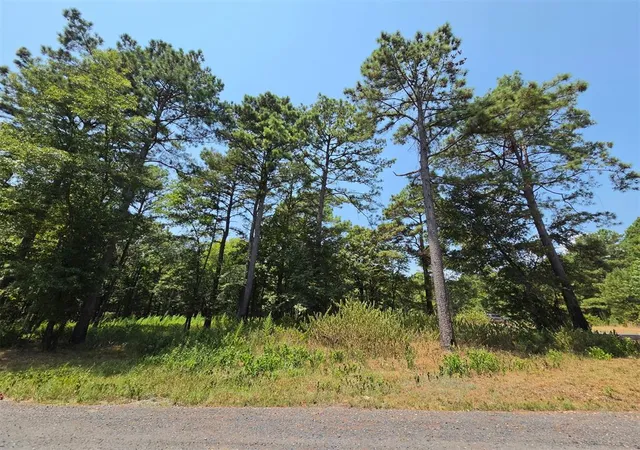 Photo 3 of Land for sale at 252 Split Paddle Ln, Broken Bow, OK 74728 | MLS# 1243297 | Listing updated on 2026-08-10