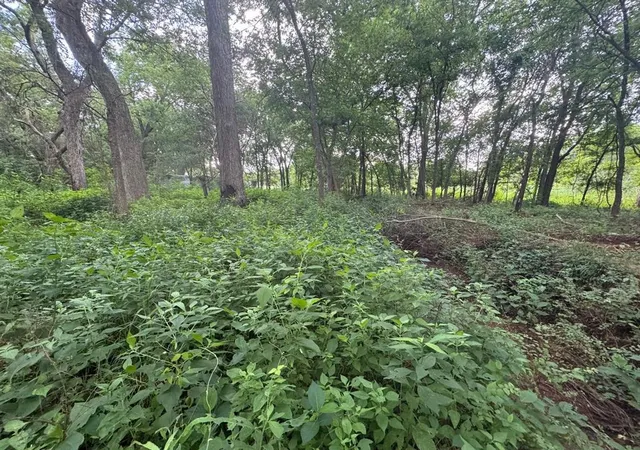3rd image of 60 Pecan Valley Lot 60 Rd, Tecumseh, OK 74873 | MLS# 1243517