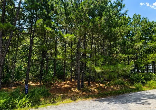 2nd image of 186 Twisted Elm Trl, Broken Bow, OK 74728 | MLS# 1243620