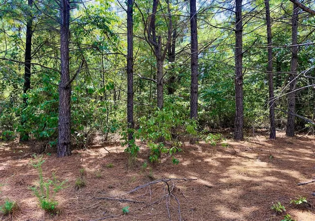 Photo 3 of Land for sale at 186 Twisted Elm Trl, Broken Bow, OK 74728 | MLS# 1243620 | Listing updated on 2026-08-11