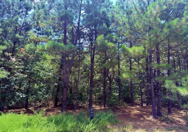 Photo 4 of Land for sale at 186 Twisted Elm Trl, Broken Bow, OK 74728 | MLS# 1243620 | Listing updated on 2026-08-11