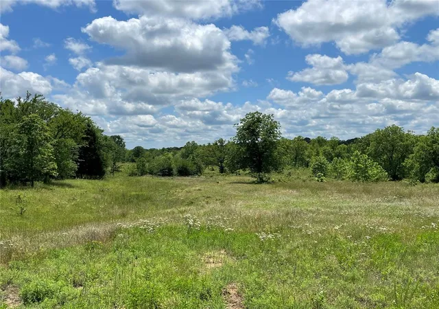 4th image of 0 Buffalo Wy, Wewoka, OK 74884 | MLS# 1243896