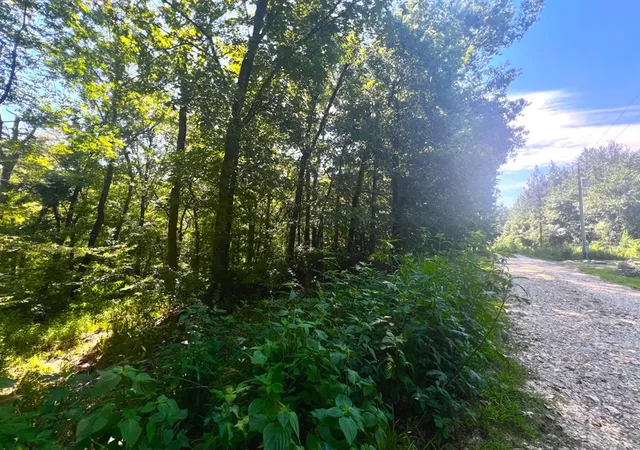 Photo 1 of Land for sale at 310 White Fox Ln, Broken Bow, OK 74728 | MLS# 1244238 | Listing updated on 2026-08-15