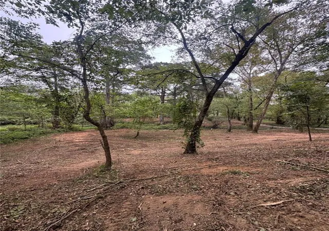 Photo 1 of Land for sale at 310 White Fox Ln, Broken Bow, OK 74728 | MLS# 1244238 | Listing updated on 2026-10-06