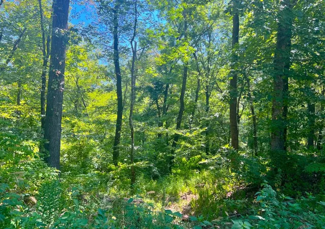 Photo 2 of Land for sale at 310 White Fox Ln, Broken Bow, OK 74728 | MLS# 1244238 | Listing updated on 2026-08-15