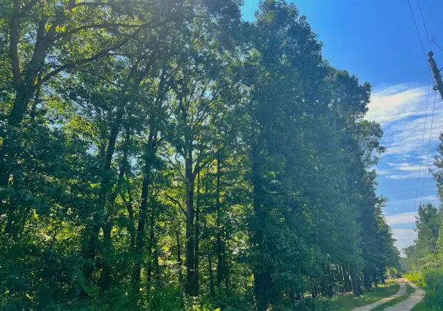 Photo 3 of Land for sale at 310 White Fox Ln, Broken Bow, OK 74728 | MLS# 1244238 | Listing updated on 2026-08-15