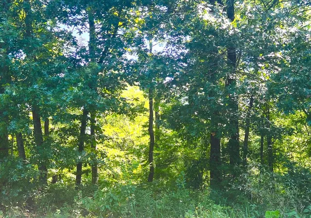 Photo 3 of Land for sale at 310 White Fox Ln, Broken Bow, OK 74728 | MLS# 1244238 | Listing updated on 2026-08-15