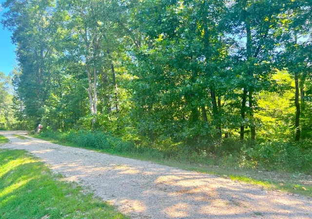 Photo 4 of Land for sale at 310 White Fox Ln, Broken Bow, OK 74728 | MLS# 1244238 | Listing updated on 2026-08-15