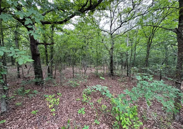 Photo 3 of Land for sale at 365 Road, Wewoka, OK 74884 | MLS# 1244243 | Listing updated on 2026-09-13