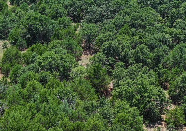 5th image of 20250 Bryant Rd, Lexington, OK 73051 | MLS# 1244260