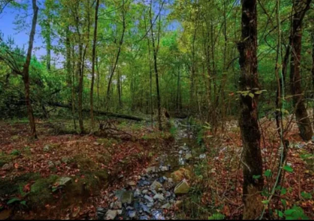 Photo 3 of Sale Pending at 344 Virginia Pine Pl, Broken Bow, OK 74728 | MLS# 1244671 | Listing updated on 2026-08-24