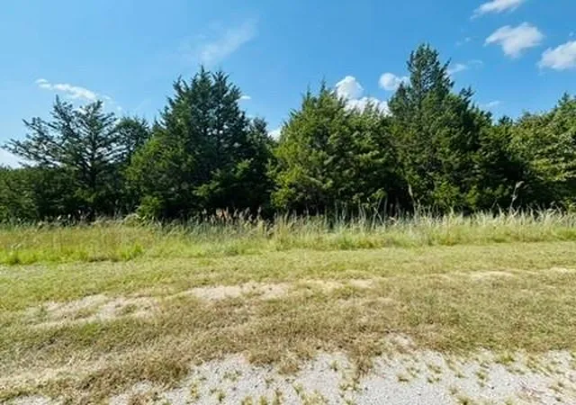 2nd image of 0 Jesse Pl Pl, Burneyville, OK 73430 | MLS# 1244757
