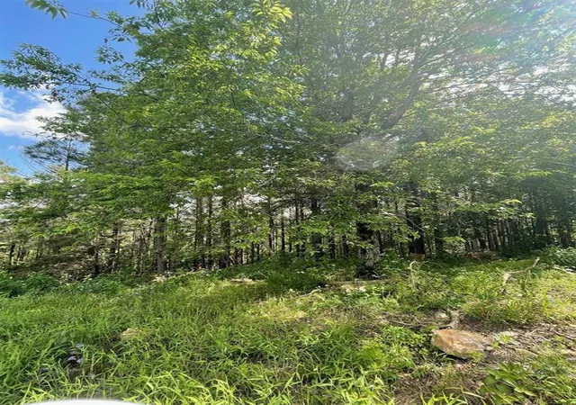 Photo 3 of Land for sale at 39 Alder Pl, Broken Bow, OK 74728 | MLS# 1244971 | Listing updated on 2026-08-20