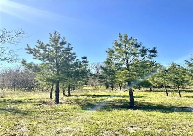 Photo 3 of Land for sale at 118 Hidden Pines Loop, Broken Bow, OK 74728 | MLS# 1244987 | Listing updated on 2026-08-20