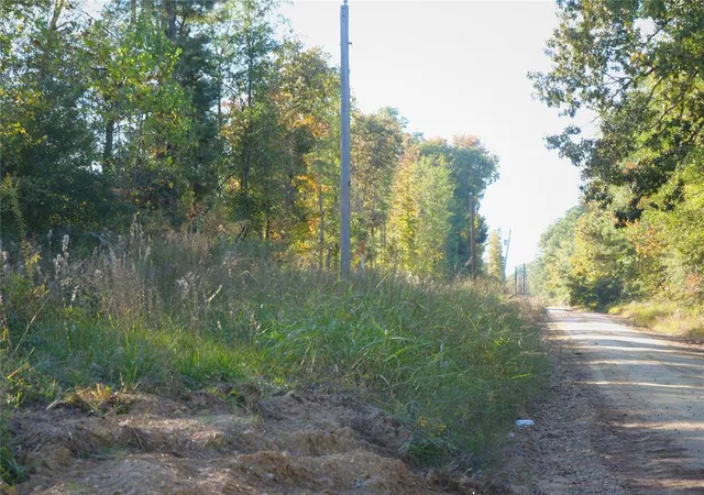 3rd image of 0 Butler Rd, Haworth, OK 74740 | MLS# 1245047