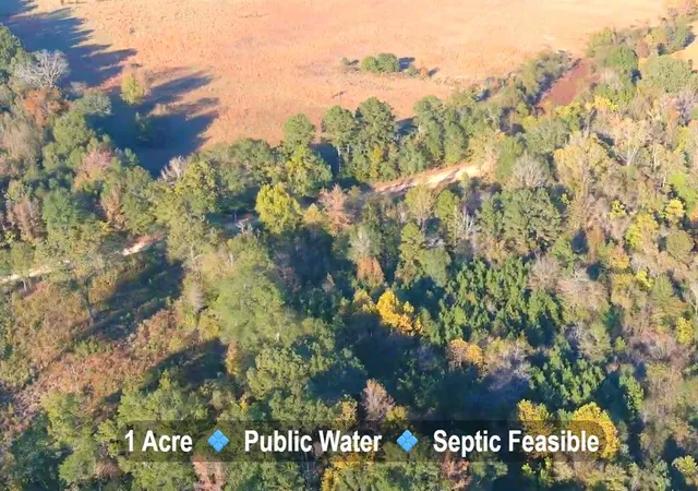 4th image of 0 Butler Rd, Haworth, OK 74740 | MLS# 1245047