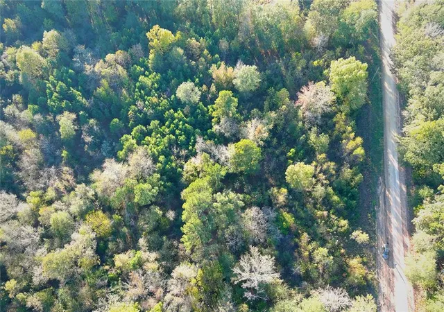 5th image of 0 Butler Rd, Haworth, OK 74740 | MLS# 1245047