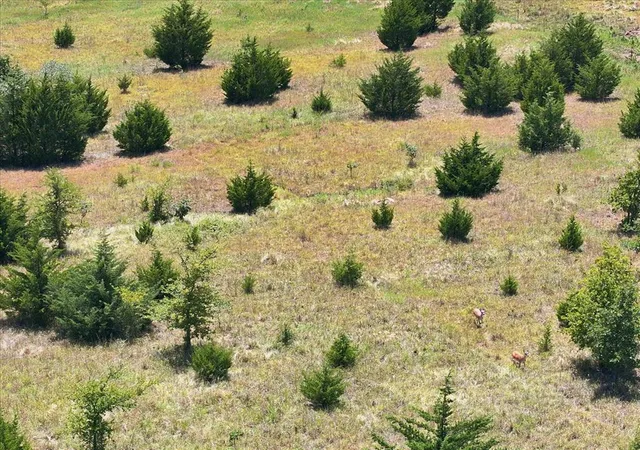Photo 11 of Land for sale at 0000 Sh 3w Hwy, Byars, OK 74831 | MLS# 1245171 | Listing updated on 2026-08-19