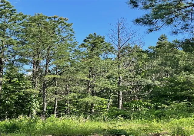 Photo 3 of Land for sale at 164 Timberline Trl, Broken Bow, OK 74728 | MLS# 1245207 | Listing updated on 2026-08-20