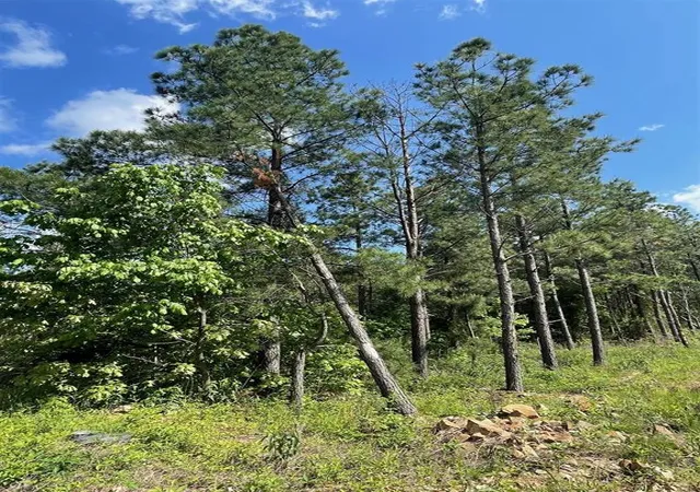 Photo 3 of Land for sale at 164 Timberline Trl, Broken Bow, OK 74728 | MLS# 1245207 | Listing updated on 2026-08-20