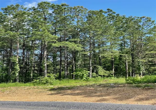Photo 4 of Land for sale at 164 Timberline Trl, Broken Bow, OK 74728 | MLS# 1245207 | Listing updated on 2026-08-20