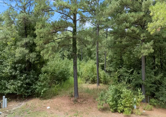 1st image of 179 Coffee Tree Trl, Broken Bow, OK 74728 | MLS# 1245244