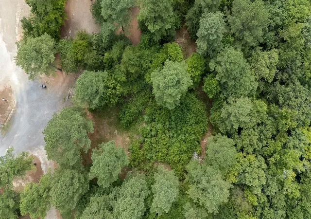 Photo 3 of Land for sale at 179 Coffee Tree Trl, Broken Bow, OK 74728 | MLS# 1245244 | Listing updated on 2026-08-20