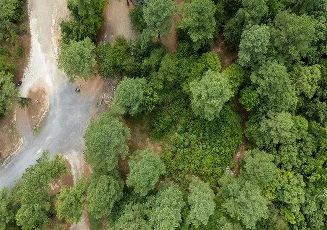Photo 4 of Land for sale at 179 Coffee Tree Trl, Broken Bow, OK 74728 | MLS# 1245244 | Listing updated on 2026-08-20