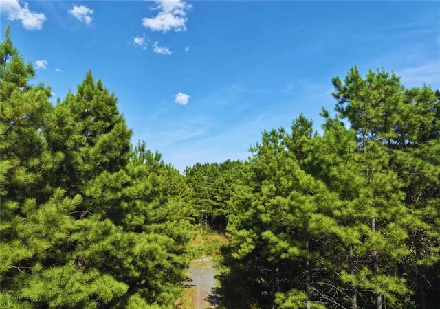 Photo 3 of Land for sale at 32 Wayward Pine Trl Trl, Broken Bow, OK 74728 | MLS# 1246065 | Listing updated on 2026-08-26