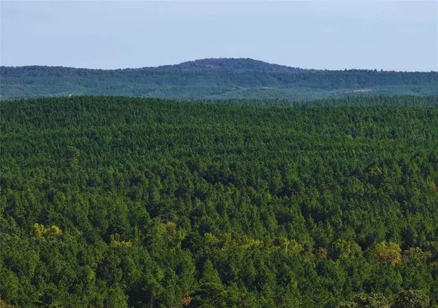 Photo 4 of Land for sale at 32 Wayward Pine Trl Trl, Broken Bow, OK 74728 | MLS# 1246065 | Listing updated on 2026-08-26